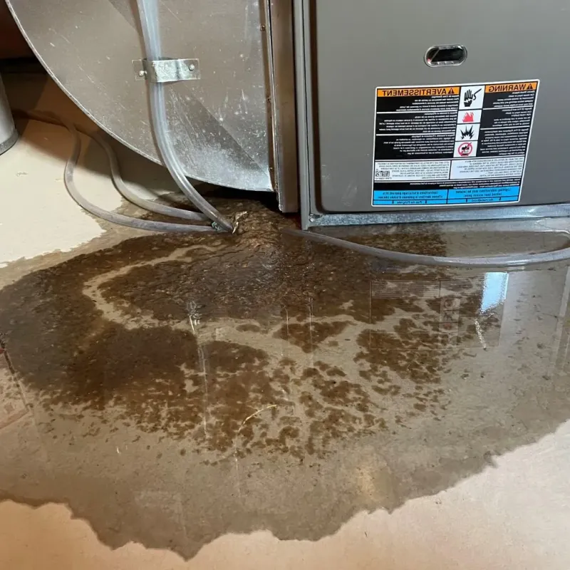 Pipe Burst and Leak Restoration in Jackson County, WV
