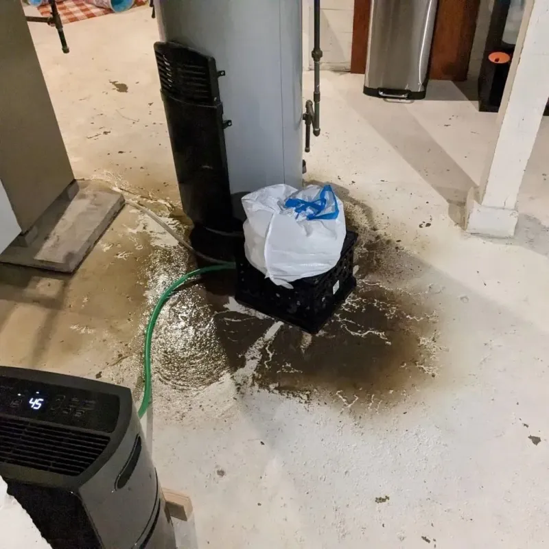 Sewage Backup Cleanup Service in Jackson County, WV